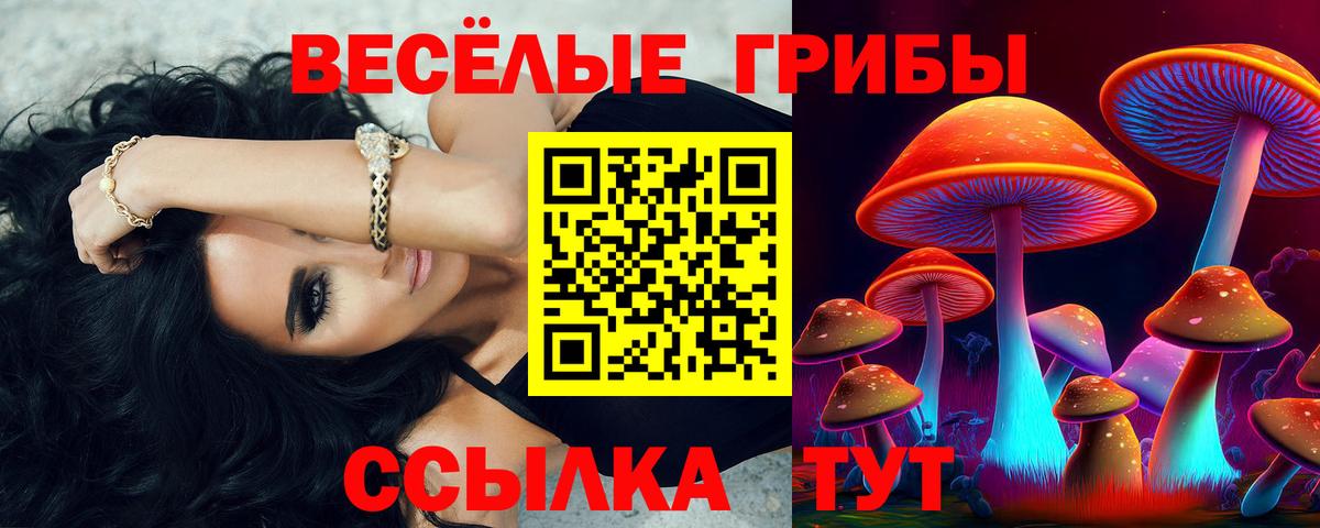 Псилоцибиновые грибы Magic Shrooms Реутов